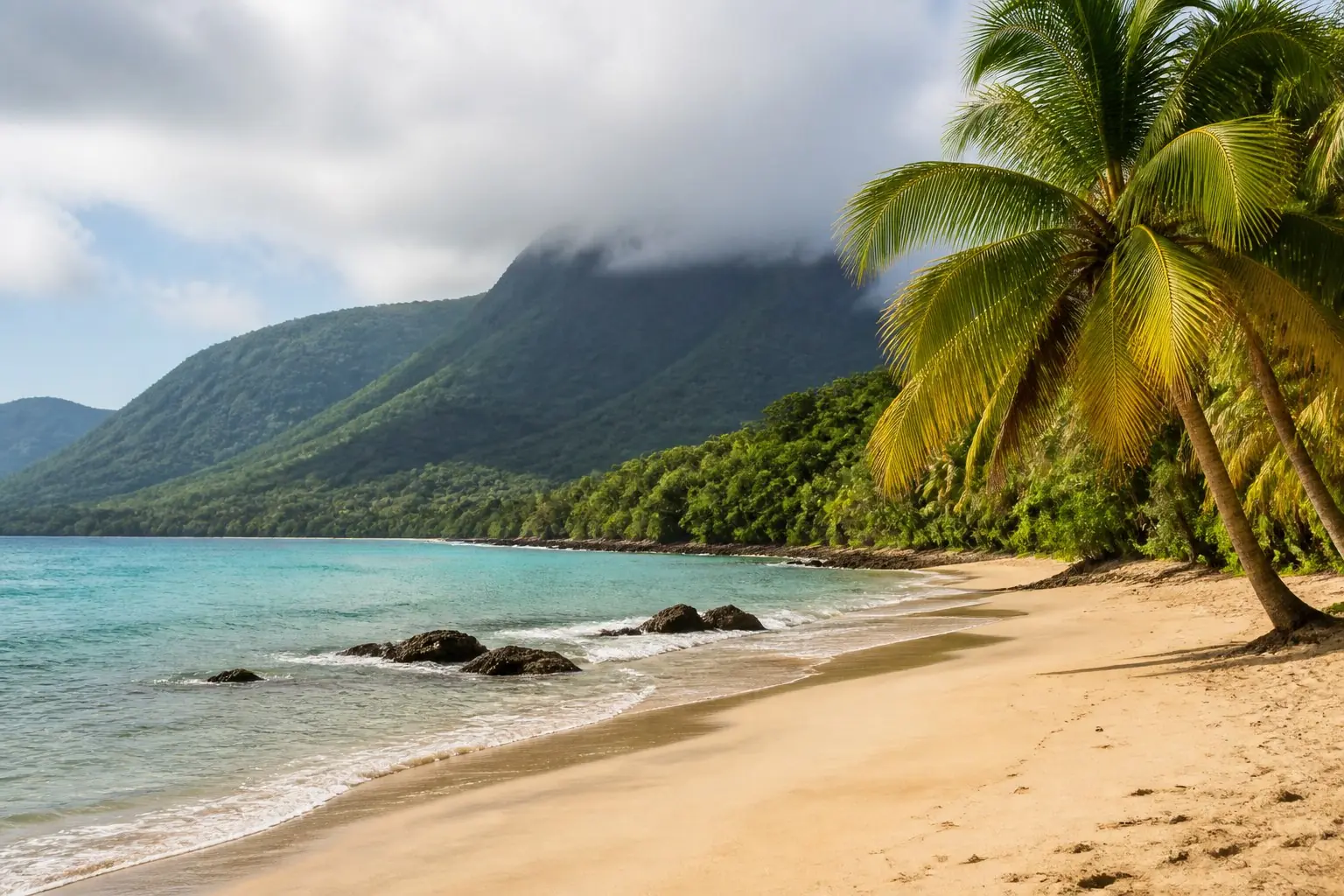 Plage tropicale et relief verdoyant en Guadeloupe