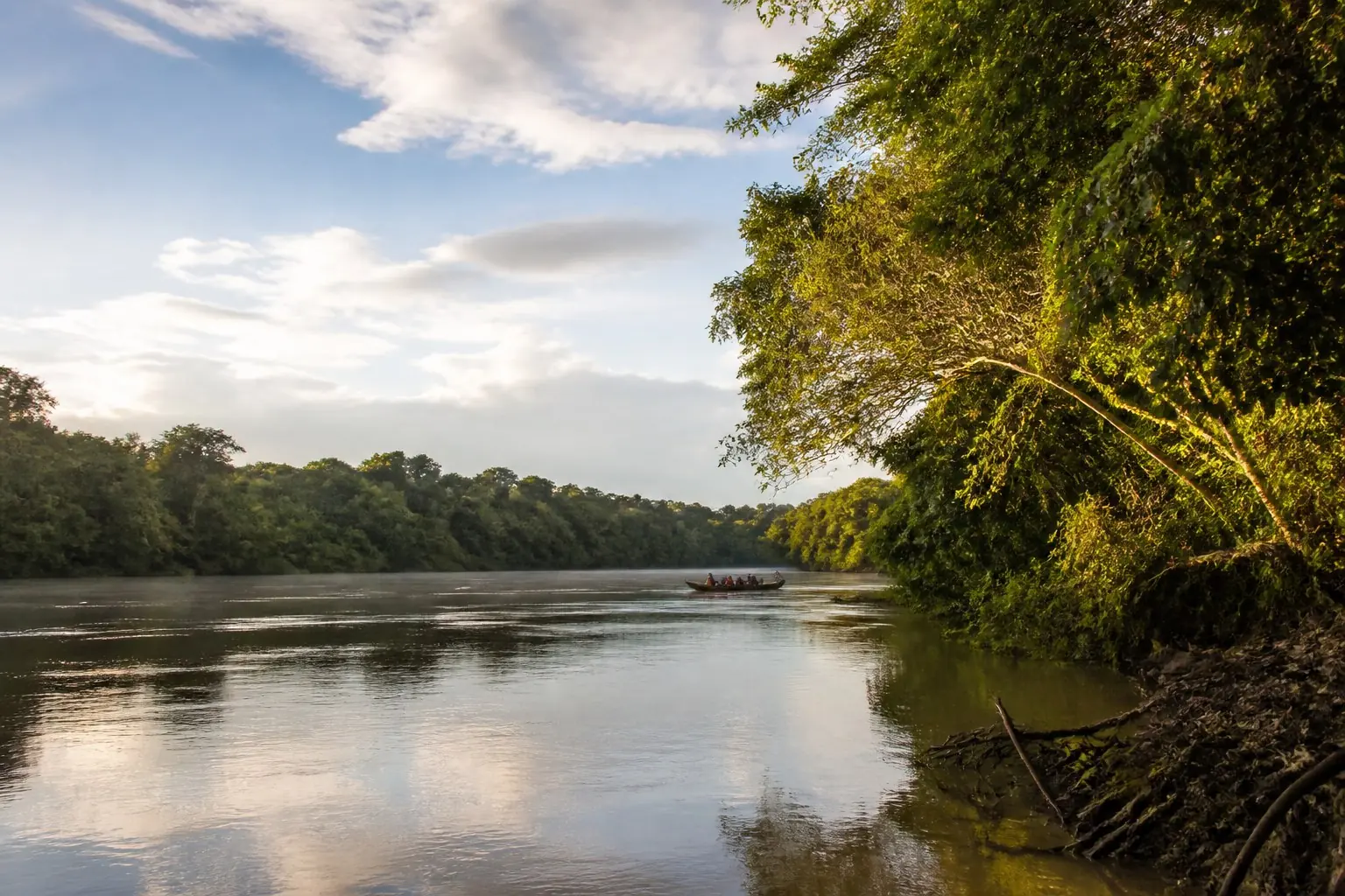 Fleuve bordé par la forêt tropicale en Guyane
